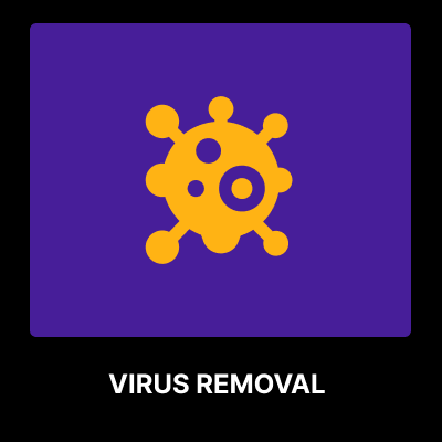 Virus and malware removal