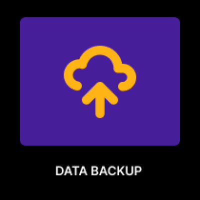 Data backup services